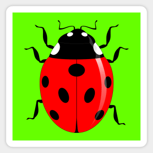 RED AND BLACK SPOTTED BEETLE Sticker